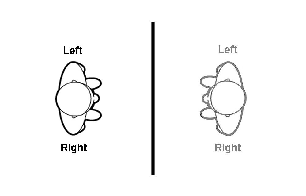 The Oikofuge Why Do Mirrors Reverse Left And Right But Not Up And Down